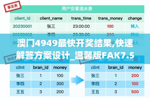 澳门4949最快开奖结果,快速解答方案设计_温馨版FAK7.57