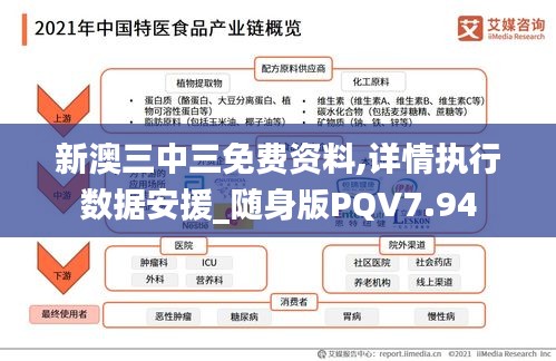 新澳三中三免费资料,详情执行数据安援_随身版PQV7.94