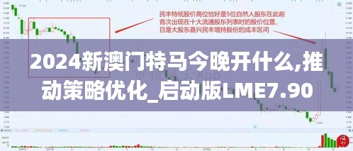 2024新澳门特马今晚开什么,推动策略优化_启动版LME7.90