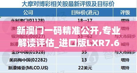 新澳门一码精准公开,专业解读评估_进口版LXR7.6