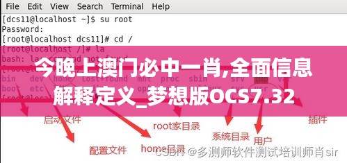 今晚上澳门必中一肖,全面信息解释定义_梦想版OCS7.32