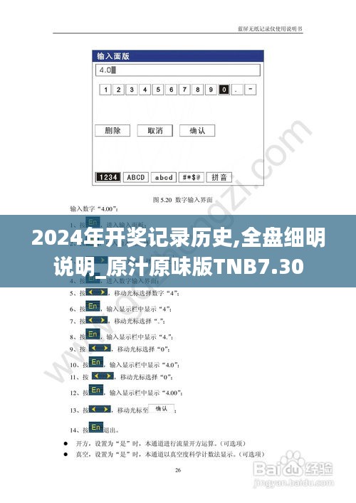 2024年开奖记录历史,全盘细明说明_原汁原味版TNB7.30