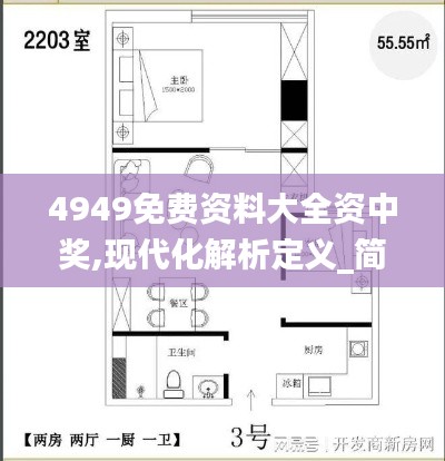 4949免费资料大全资中奖,现代化解析定义_简易版DER7.32