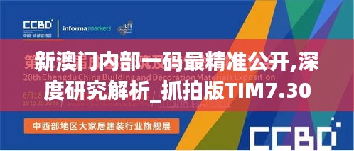 新澳门内部一码最精准公开,深度研究解析_抓拍版TIM7.30