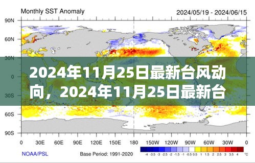 2024年11月25日最新台风动向深度解析