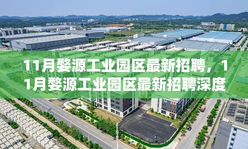 11月婺源工业园区最新招聘深度解析与介绍