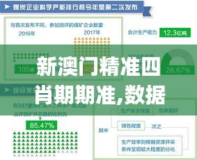 新澳门精准四肖期期准,数据引导执行策略_车载版CAC7.44