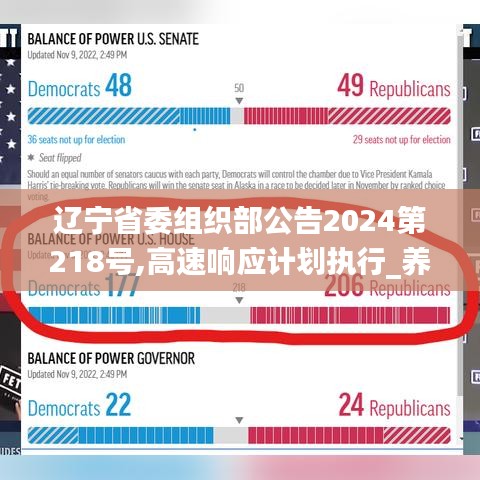 辽宁省委组织部公告2024第218号,高速响应计划执行_养生版YQC7.93