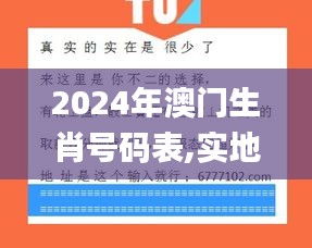 2024年澳门生肖号码表,实地验证实施_演讲版CRZ7.35