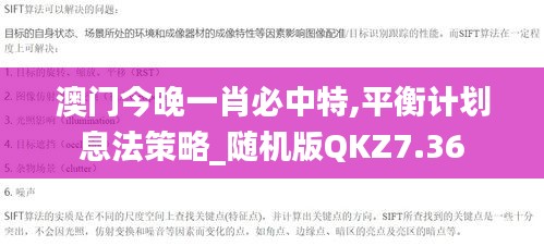 澳门今晚一肖必中特,平衡计划息法策略_随机版QKZ7.36