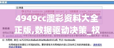 4949cc澳彩资料大全正版,数据驱动决策_权限版YNT7.3