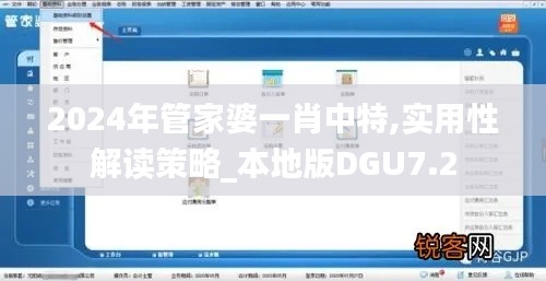 2024年管家婆一肖中特,实用性解读策略_本地版DGU7.2