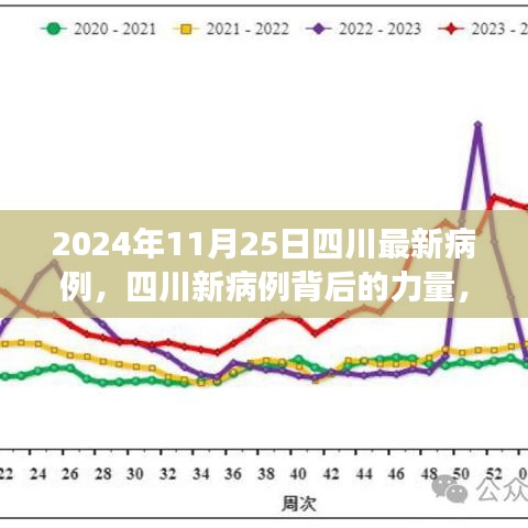 四川新病例背后的力量，学习变化，自信成就未来之路（实时更新）