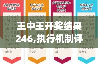 王中王开奖结果246,执行机制评估_明亮版PRW7.24