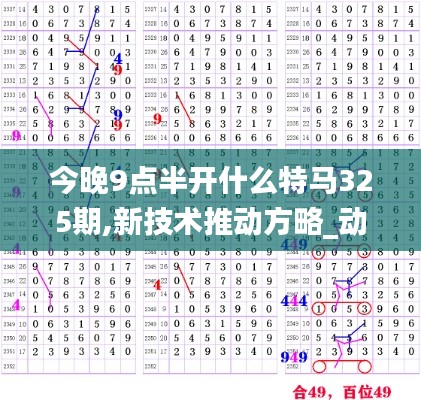 今晚9点半开什么特马325期,新技术推动方略_动态版YTQ7.99