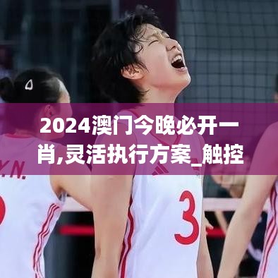 2024澳门今晚必开一肖,灵活执行方案_触控版DHK7.63