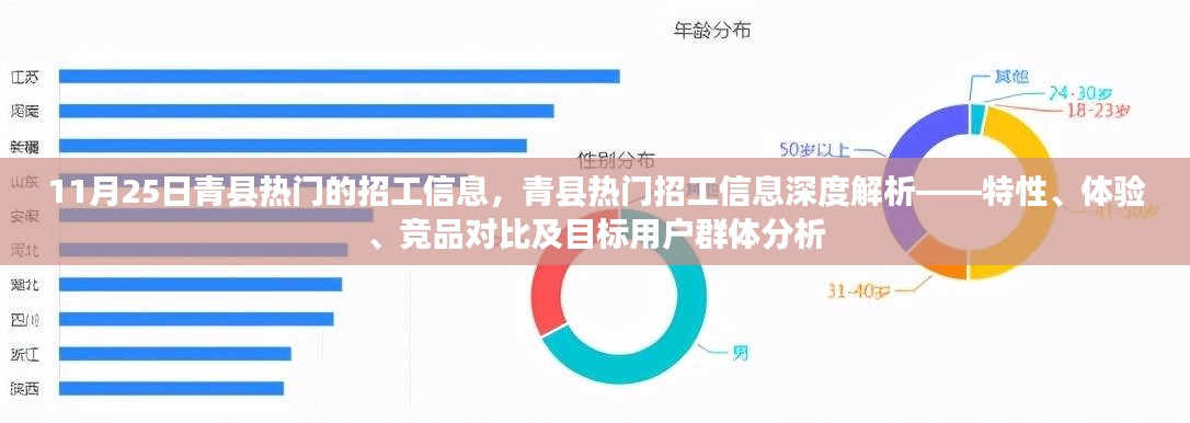 青县热门招工信息解析，特性、体验、竞品对比与目标用户群体深度剖析（XXXX年）