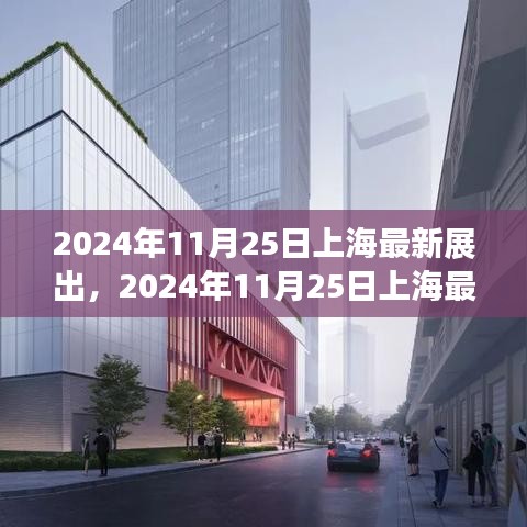 2024年11月25日上海最新展出产品深度评测与介绍