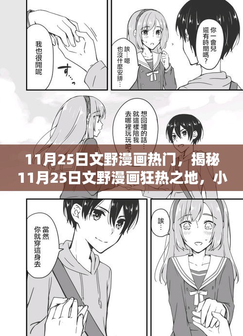 揭秘文野漫画狂热之地，特色小店探秘与狂热粉丝的狂欢日