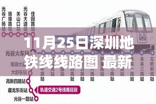 最新深圳地铁线路图解读，11月25日深圳地铁网络新变化全解析