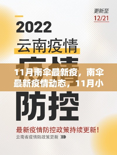 11月南伞最新疫情动态与防疫指南，小红书上的防控建议