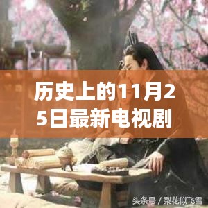 心向远方，追寻自然美景的电视剧之旅，手机在线观看，历史11月25日