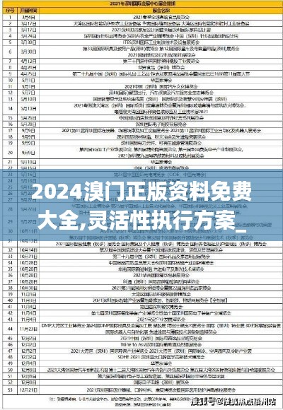 2024溴门正版资料免费大全,灵活性执行方案_获取版QNL13.11