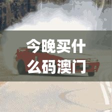 今晚买什么码澳门,高效性设计规划_结合版GTR13.14