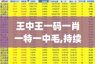 王中王一码一肖一特一中毛,持续性实施方案_旅行版HPZ13.66