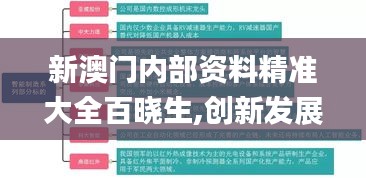 新澳门内部资料精准大全百晓生,创新发展策略_触控版GSJ13.63