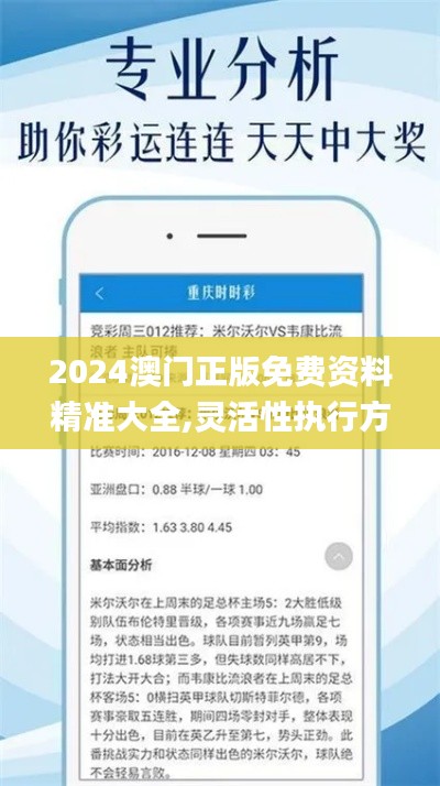 2024澳门正版免费资料精准大全,灵活性执行方案_采购版DUI13.6