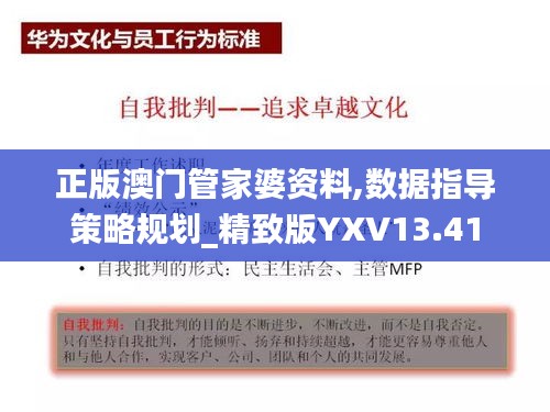 正版澳门管家婆资料,数据指导策略规划_精致版YXV13.41