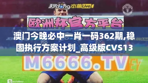 澳门今晚必中一肖一码362期,稳固执行方案计划_高级版CVS13.74