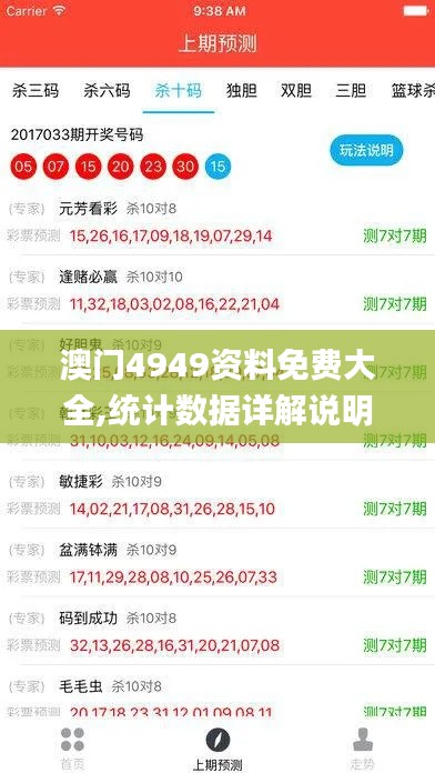 澳门4949资料免费大全,统计数据详解说明_闪电版XKO13.17