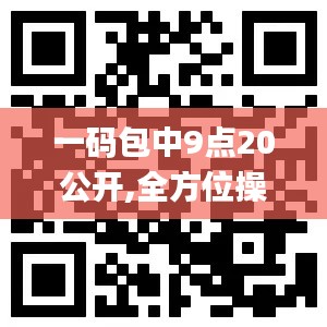 一码包中9点20公开,全方位操作计划_便携版QGD13.60