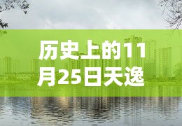 历史上的11月25日，天逸湾楼盘最新动态及其深度影响分析