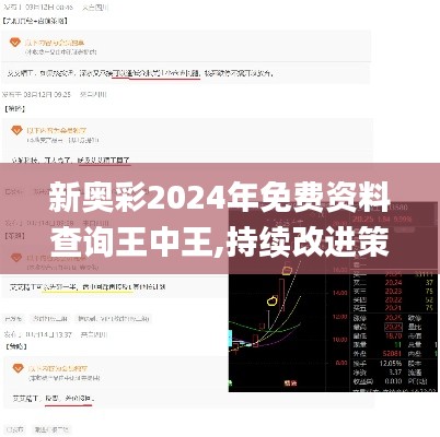 新奥彩2024年免费资料查询王中王,持续改进策略_闪电版YIH13.4