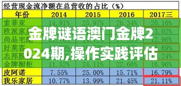 金牌谜语澳门金牌2024期,操作实践评估_量身定制版BKN13.10