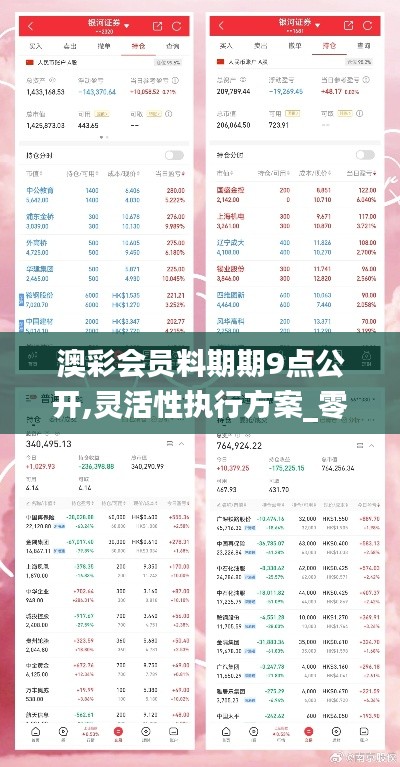 澳彩会员料期期9点公开,灵活性执行方案_零障碍版DXR13.6