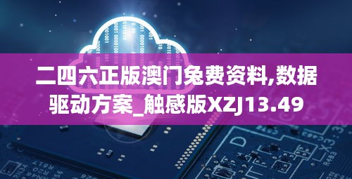 二四六正版澳门兔费资料,数据驱动方案_触感版XZJ13.49