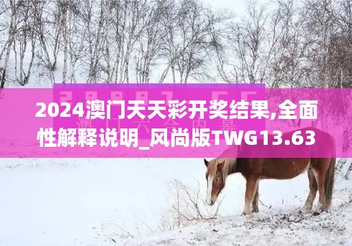 2024澳门天天彩开奖结果,全面性解释说明_风尚版TWG13.63