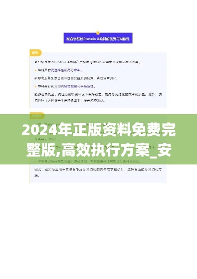 2024年正版资料免费完整版,高效执行方案_安静版BIG13.24