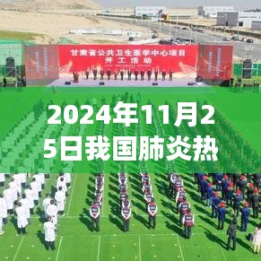 2024年11月25日中国肺炎疫情最新动态与社会观点碰撞