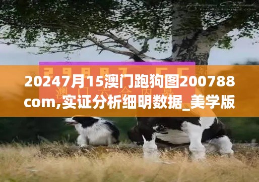 20247月15澳门跑狗图200788com,实证分析细明数据_美学版KCH13.73