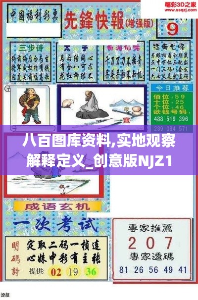 八百图库资料,实地观察解释定义_创意版NJZ13.45