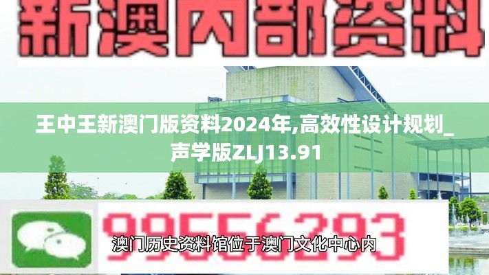 王中王新澳门版资料2024年,高效性设计规划_声学版ZLJ13.91