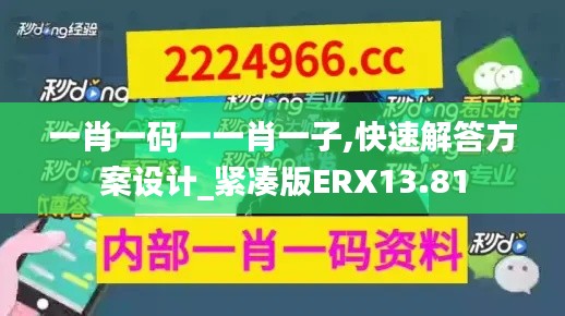 一肖一码一一肖一子,快速解答方案设计_紧凑版ERX13.81