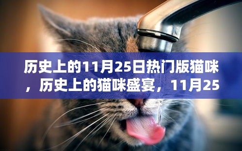 历史上的猫咪盛宴，11月25日的璀璨篇章与猫咪盛宴回顾