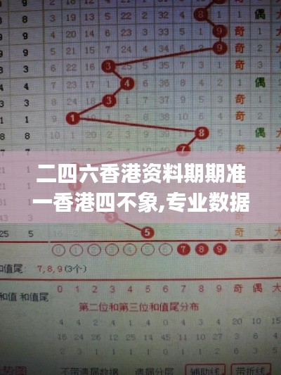 二四六香港资料期期准一香港四不象,专业数据解释设想_实现版SXX13.78