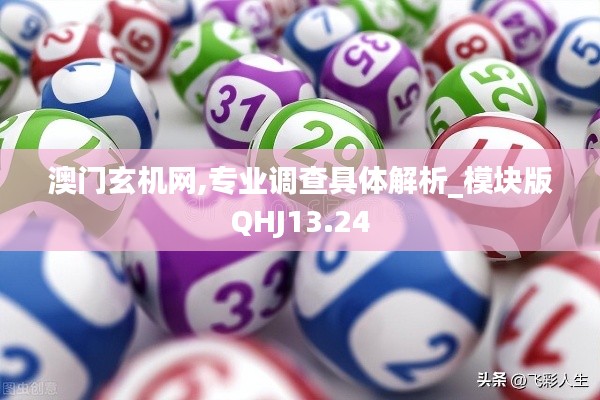 澳门玄机网,专业调查具体解析_模块版QHJ13.24